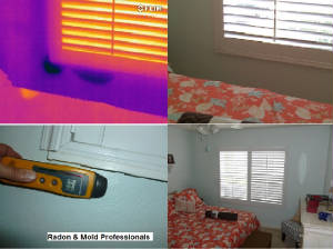 infrared & digital photos of moisture & mold