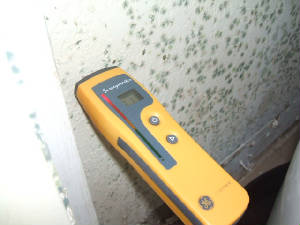 mold growth and moisture meter on wall